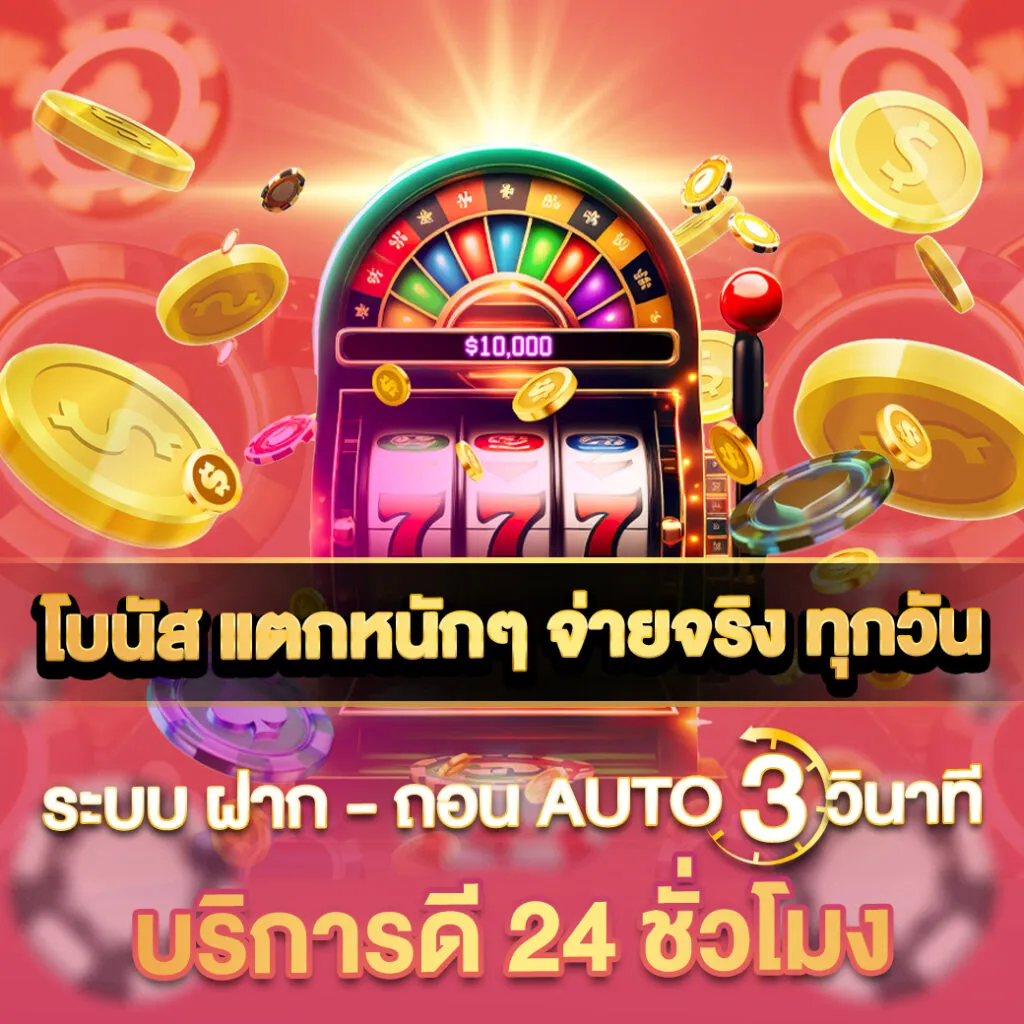 บริการ- safezone28